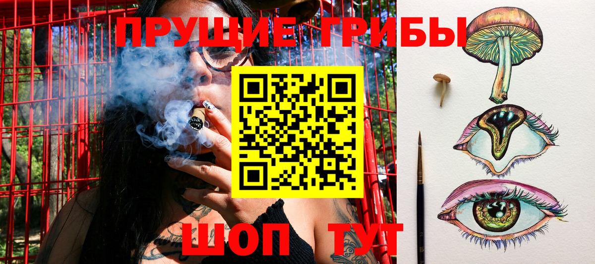 Псилоцибиновые грибы GOLDEN TEACHER Салават