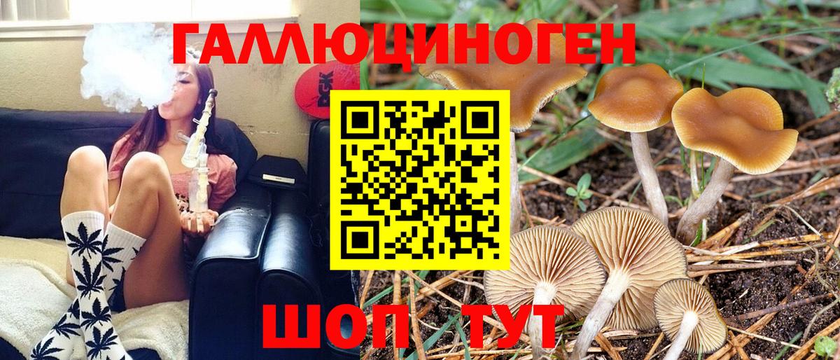 Псилоцибиновые грибы Psilocybine cubensis  Вход с VPN  Галлюциногенные грибы Psilocybine cubensis  Салават 